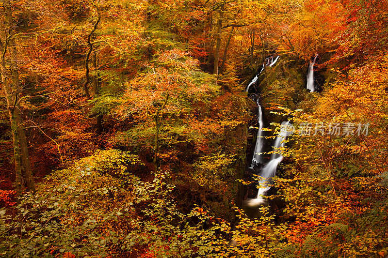 Stock Ghyll Force瀑布在秋天，湖区国家公园，坎布里亚，英格兰，英国，欧洲